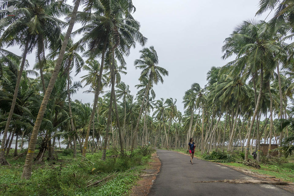 Photo of Kerala: The finale 9/12 by Salim Islam