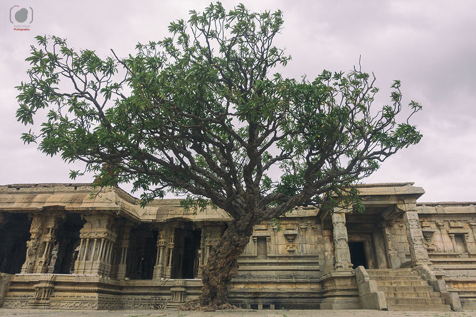 Photo of Hampi : Of stacked boulders, a river and a whole lot of history 2/25 by Salim Islam