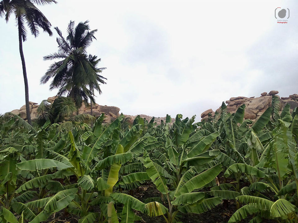 Photo of Hampi : Of stacked boulders, a river and a whole lot of history 17/25 by Salim Islam