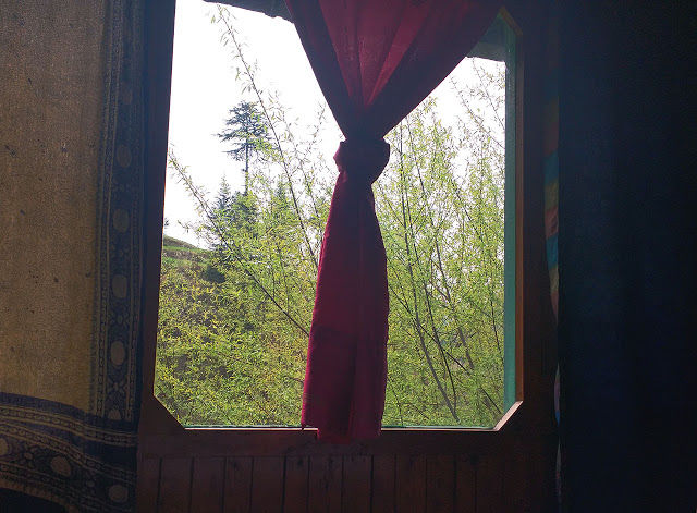 Photo of Jibhi, Himachal Pradesh, India by Salim Islam