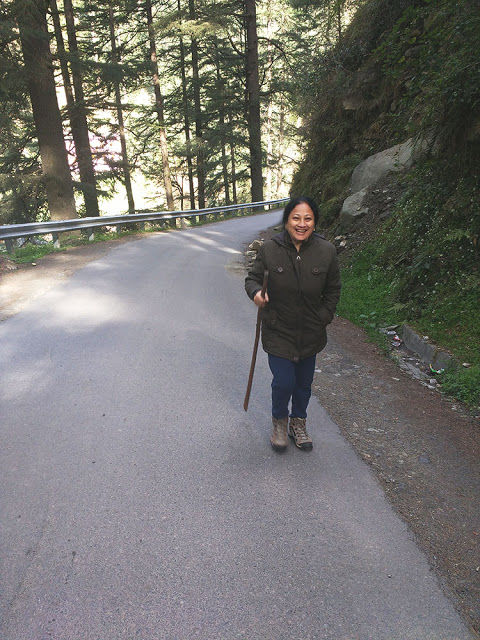 Photo of Jibhi, Himachal Pradesh, India by Salim Islam