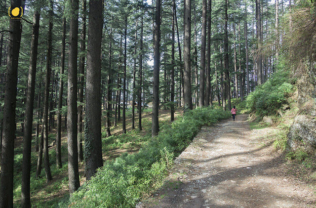 Photo of Bahu, Himachal Pradesh, India by Salim Islam