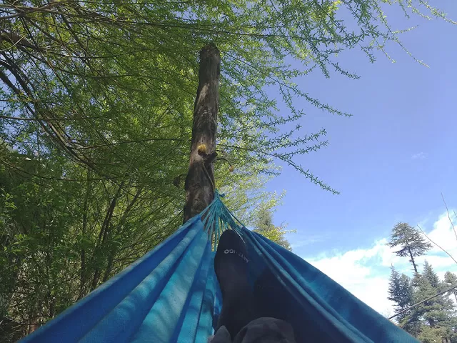 Photo of Jibhi, Himachal Pradesh, India by Salim Islam