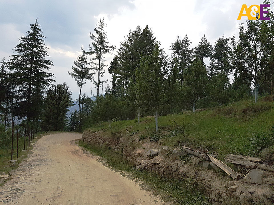 Photo of Rohru, Himachal Pradesh, India by Salim Islam