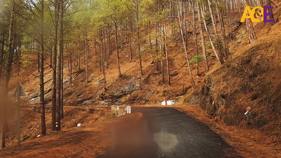 Photo of Uttarkashi, Uttarakhand, India by Salim Islam