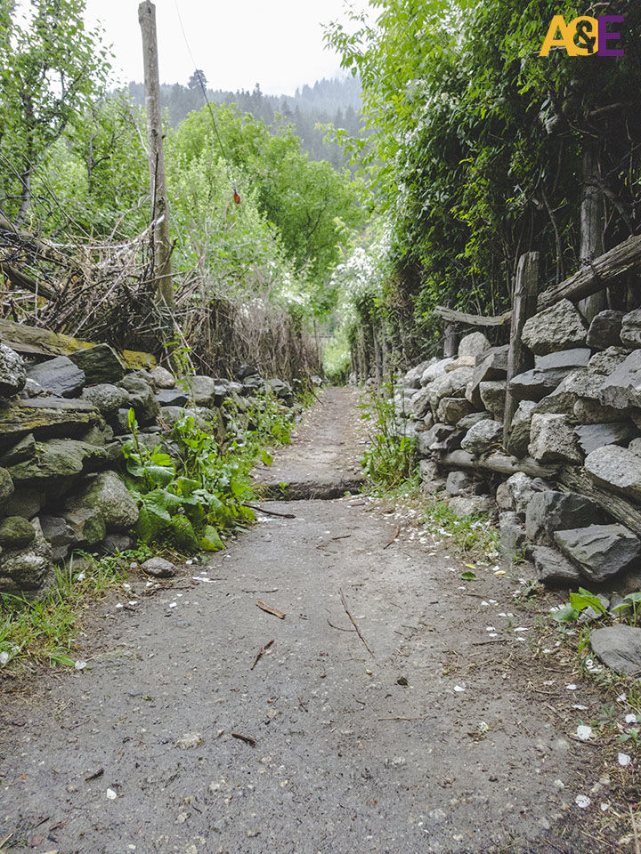 Photo of Bagori, Uttarakhand, India by Salim Islam
