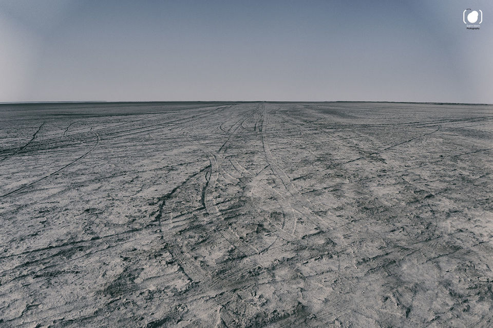 Photo of Kutch (Kachchh), Gujarat - The White Rann, Ekal and Bhuj 1/20 by Salim Islam