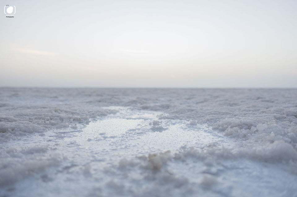Photo of Kutch (Kachchh), Gujarat - The White Rann, Ekal and Bhuj 8/20 by Salim Islam