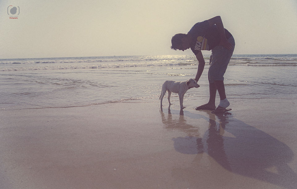 Photo of GOA : To the South of it 4/25 by Salim Islam