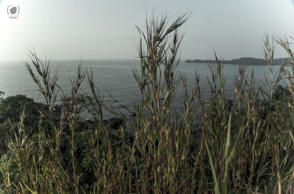 Photo of GOA : To the South of it 10/25 by Salim Islam