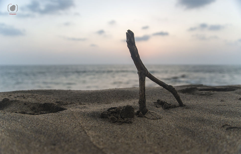 Photo of GOA : To the South of it 14/25 by Salim Islam