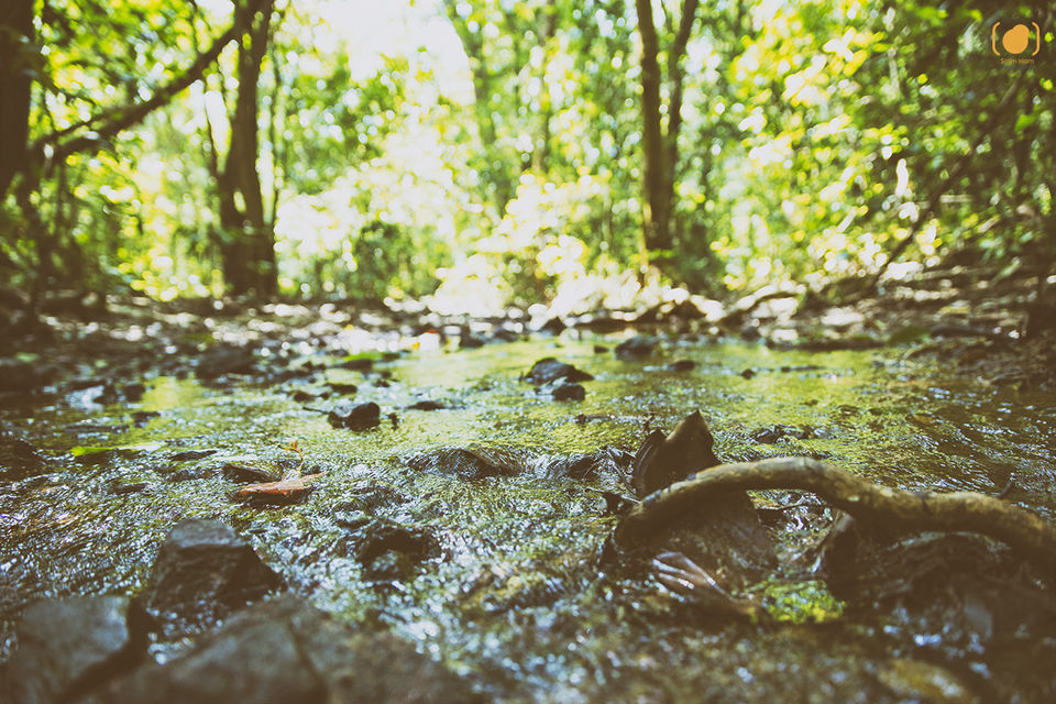 Photo of GOA : To the South of it 15/25 by Salim Islam