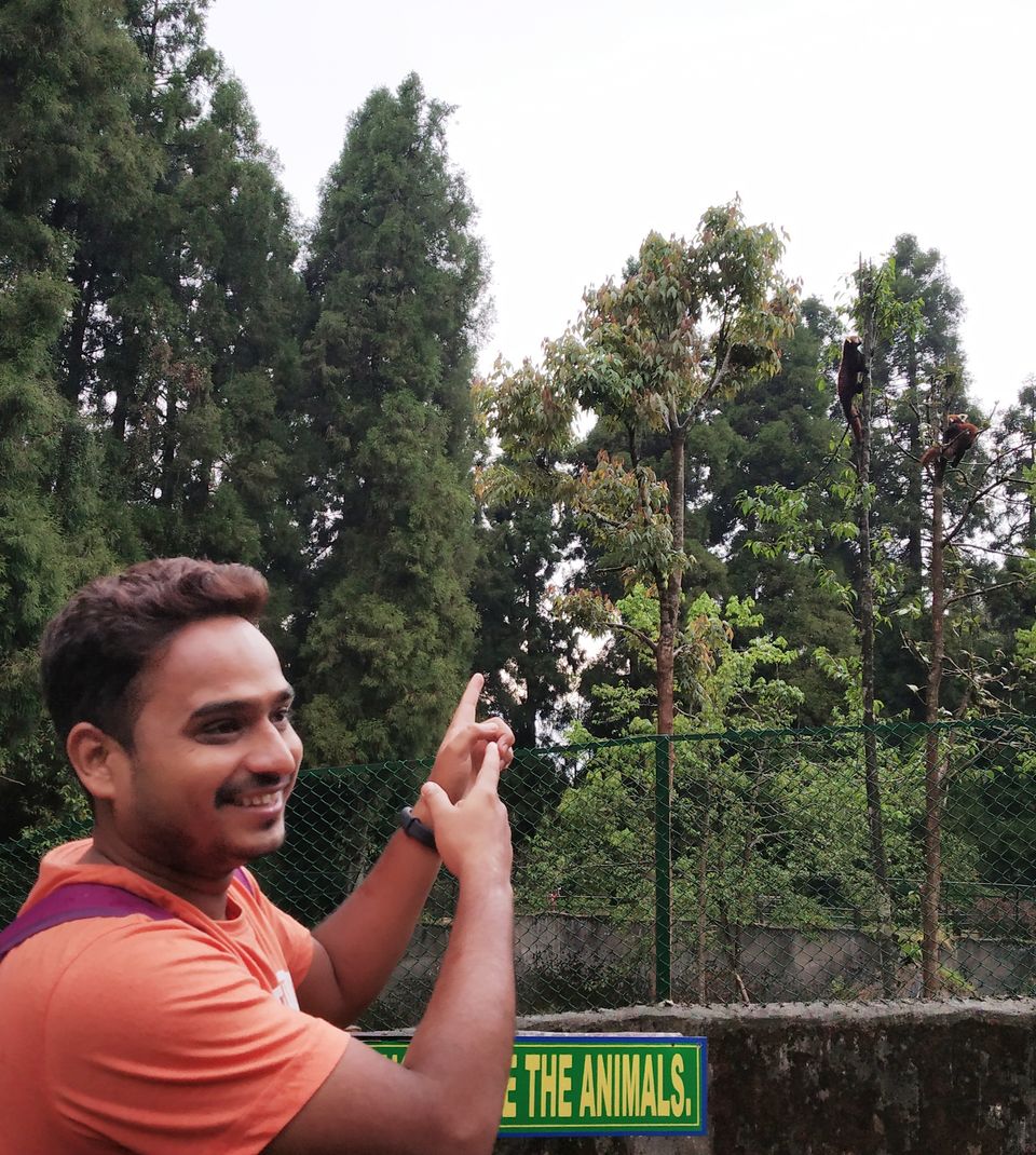 Photo of Zoological Park Gantok Sikkim, Gangtok-Chungthang Road, Chhateng, Sikkim, India by Amit Kumar Sharma