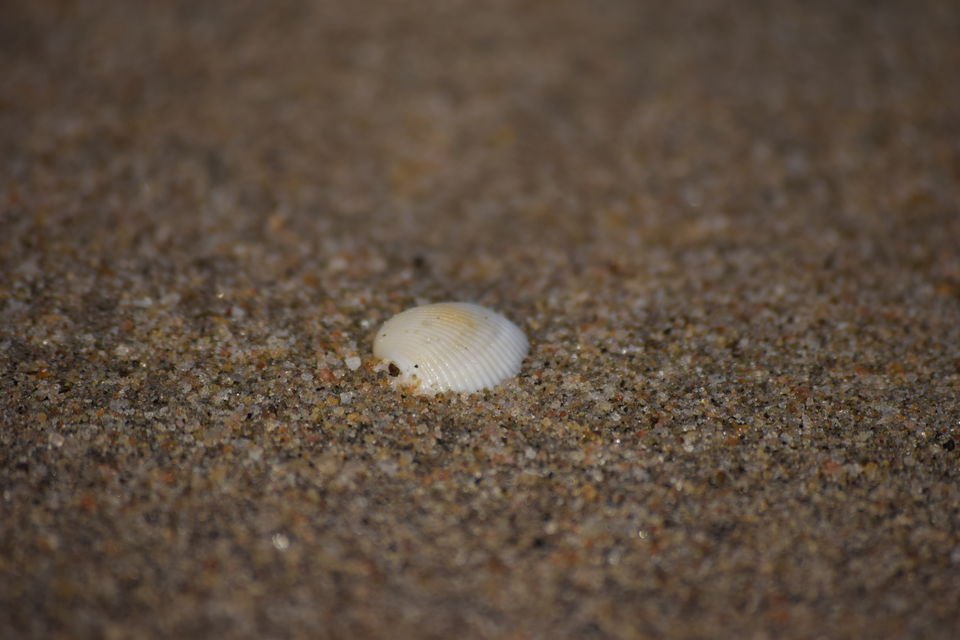 Photo of Kissa Solotrip Ka: Pondicherry by Amit Kumar Sharma