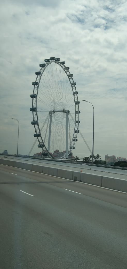 Photo of The Malaysian and Singaporean diaries by Viswanathan Sundaresan