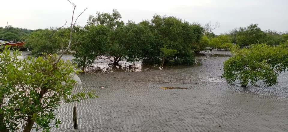 Photo of Mousuni Island by URMI CHOUDHURY