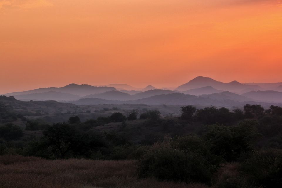 Photo of Explored Remote area of Gir jungle by Gambhir Khuman