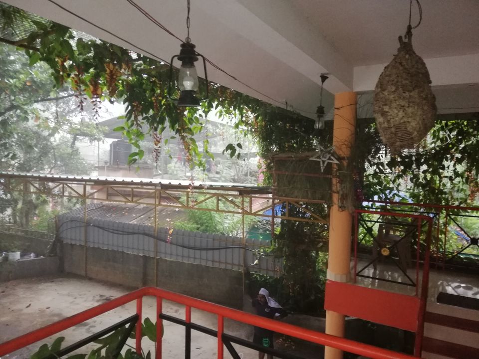 Photo of Exploring Thekkady : The land of spices, misty mountains and wildlife by aswathy tarun