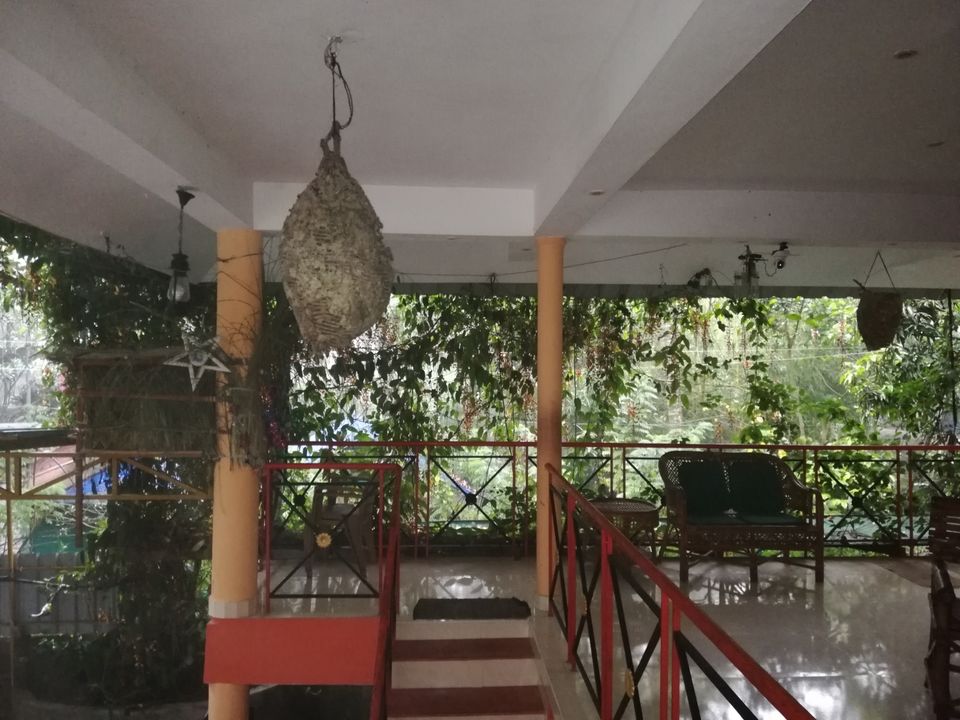 Photo of Exploring Thekkady : The land of spices, misty mountains and wildlife by aswathy tarun