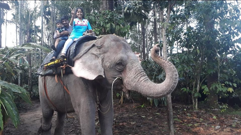 Photo of Exploring Thekkady : The land of spices, misty mountains and wildlife by aswathy tarun