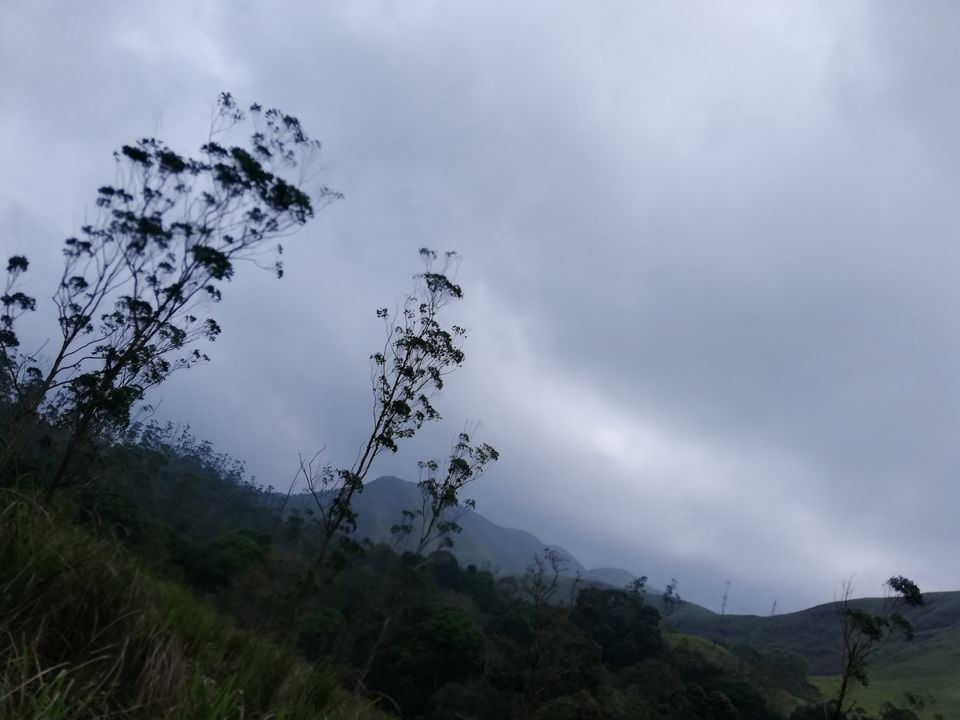 Photo of Exploring Thekkady : The land of spices, misty mountains and wildlife by aswathy tarun