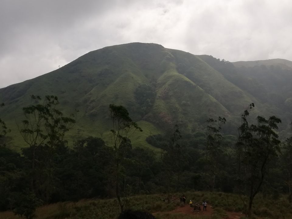 Photo of Exploring Thekkady : The land of spices, misty mountains and wildlife by aswathy tarun