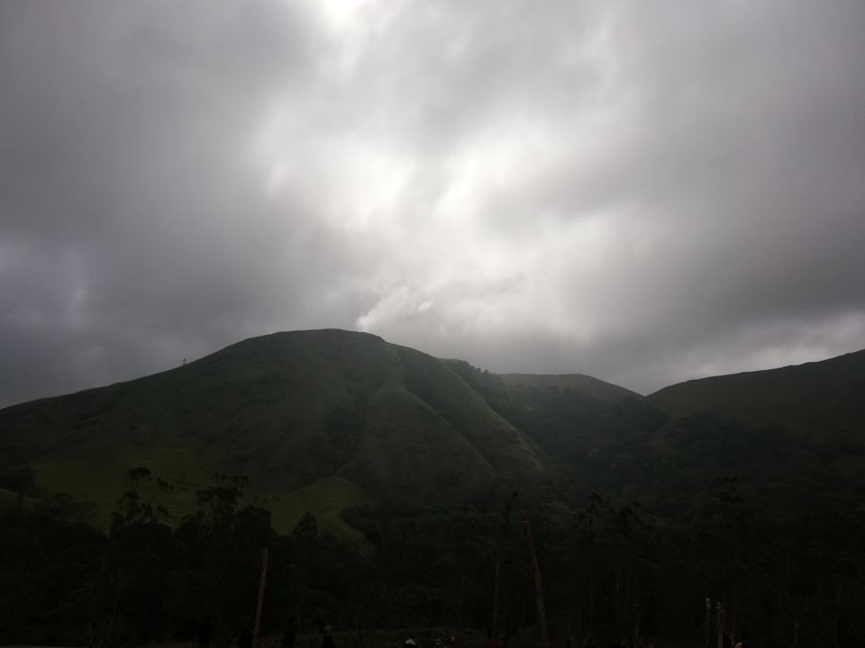 Photo of Exploring Thekkady : The land of spices, misty mountains and wildlife by aswathy tarun