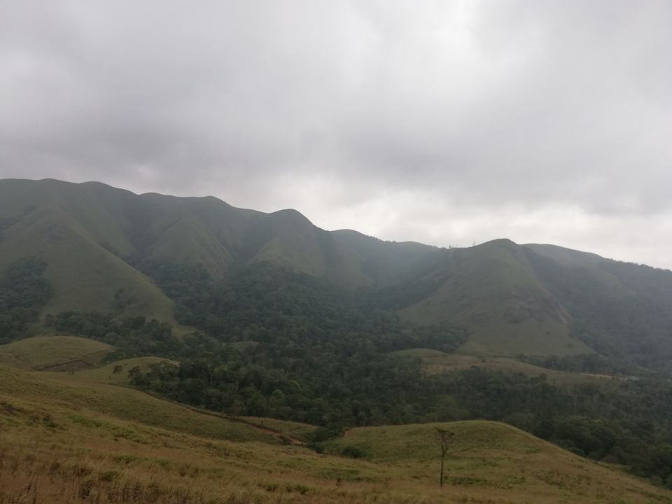 Photo of Exploring Thekkady : The land of spices, misty mountains and wildlife by aswathy tarun