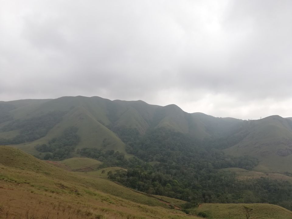 Photo of Exploring Thekkady : The land of spices, misty mountains and wildlife by aswathy tarun