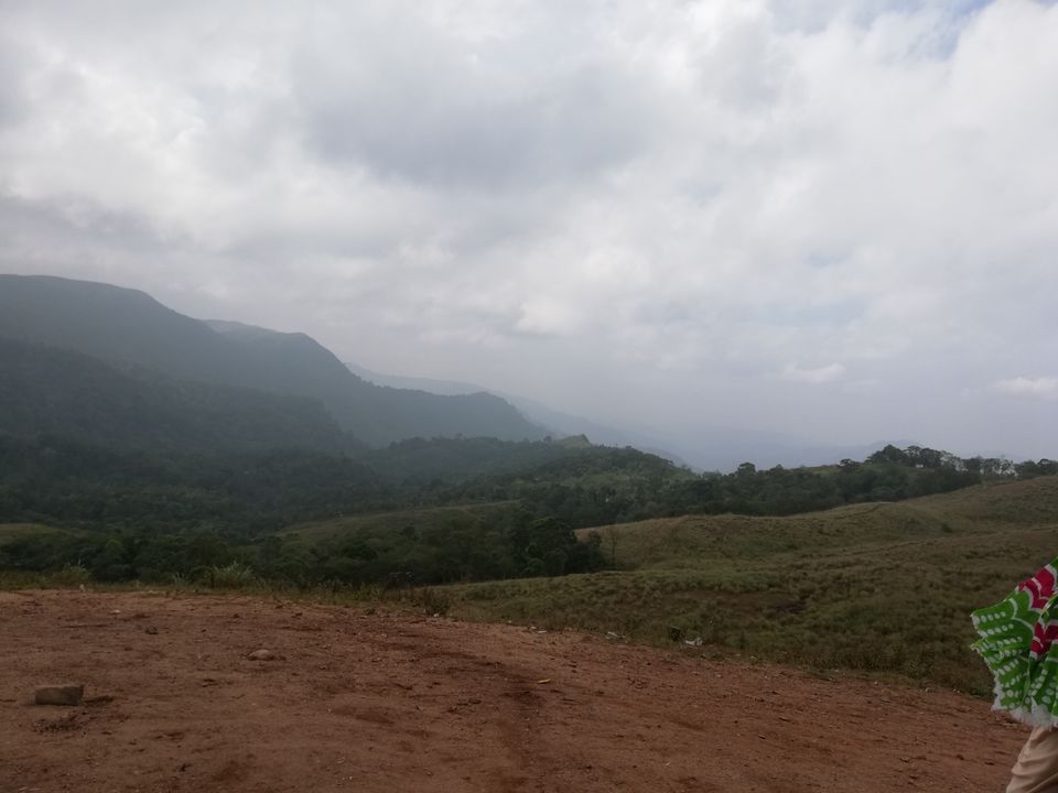 Photo of Exploring Thekkady : The land of spices, misty mountains and wildlife by aswathy tarun