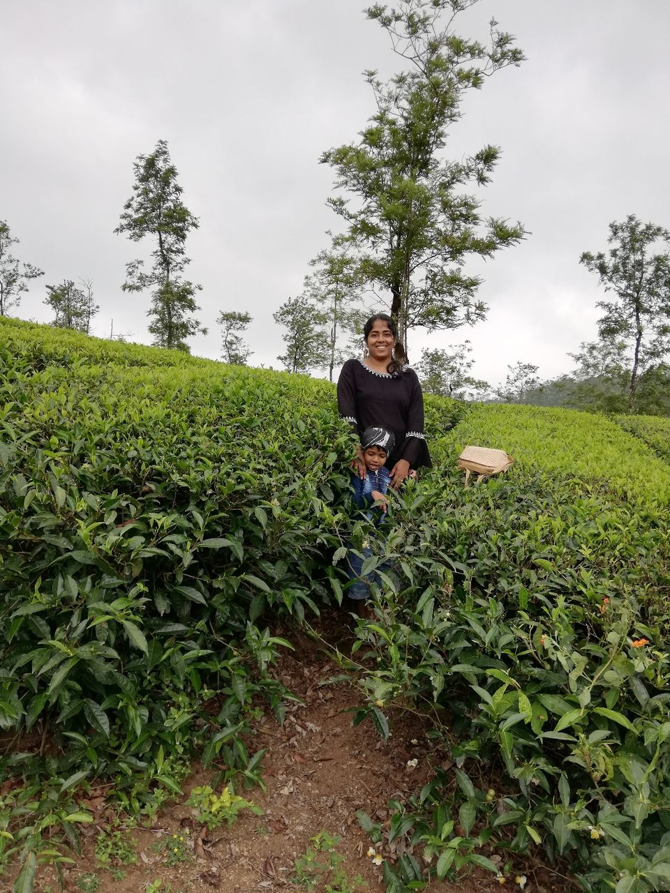 Photo of Exploring Thekkady : The land of spices, misty mountains and wildlife by aswathy tarun