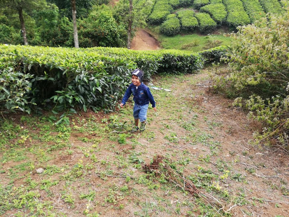 Photo of Exploring Thekkady : The land of spices, misty mountains and wildlife by aswathy tarun