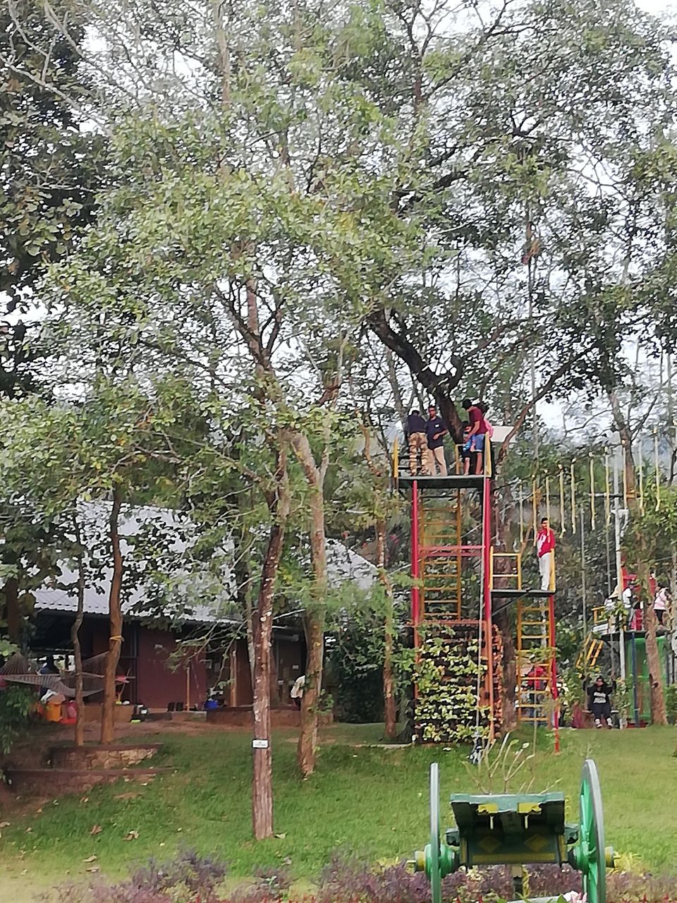 Photo of Exploring Thekkady : The land of spices, misty mountains and wildlife by aswathy tarun