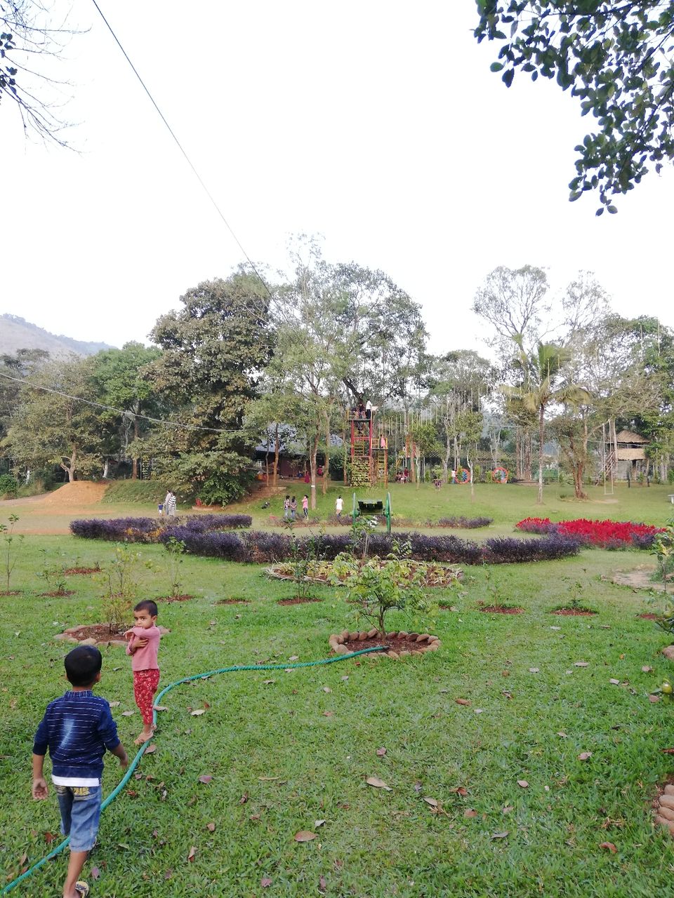 Photo of Exploring Thekkady : The land of spices, misty mountains and wildlife by aswathy tarun