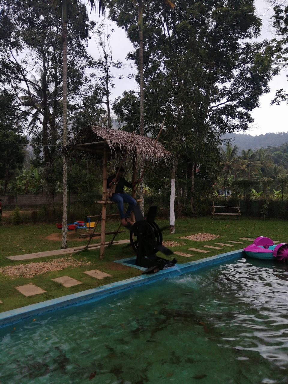 Photo of Exploring Thekkady : The land of spices, misty mountains and wildlife by aswathy tarun