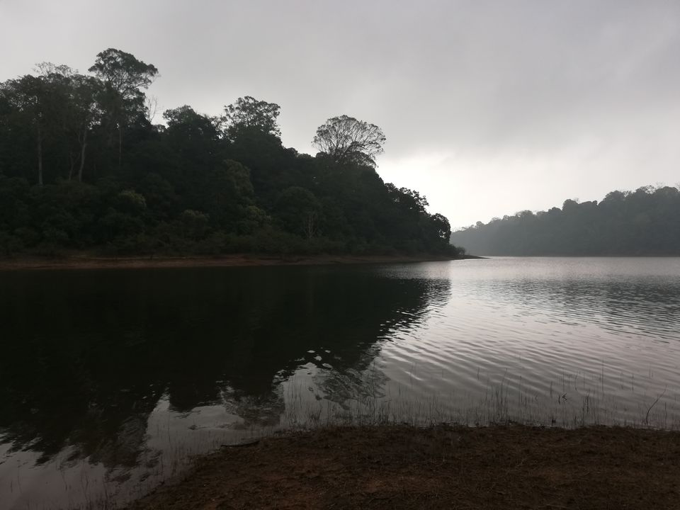 Photo of Exploring Thekkady : The land of spices, misty mountains and wildlife by aswathy tarun