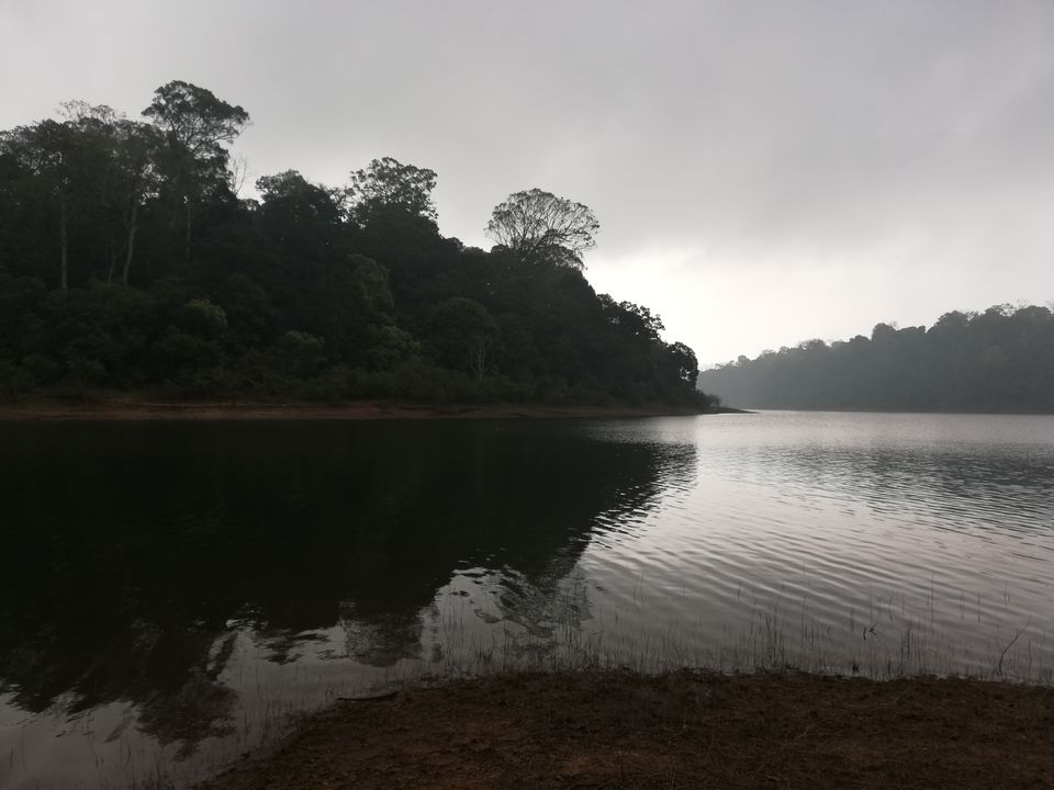 Photo of Exploring Thekkady : The land of spices, misty mountains and wildlife by aswathy tarun