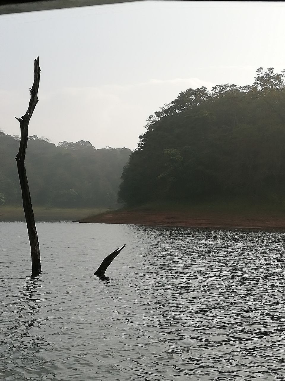Photo of Exploring Thekkady : The land of spices, misty mountains and wildlife by aswathy tarun