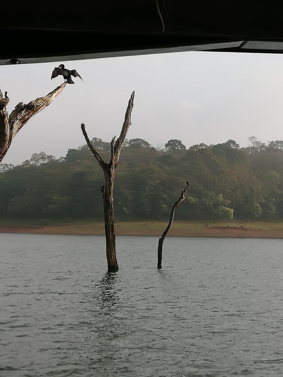 Photo of Exploring Thekkady : The land of spices, misty mountains and wildlife by aswathy tarun