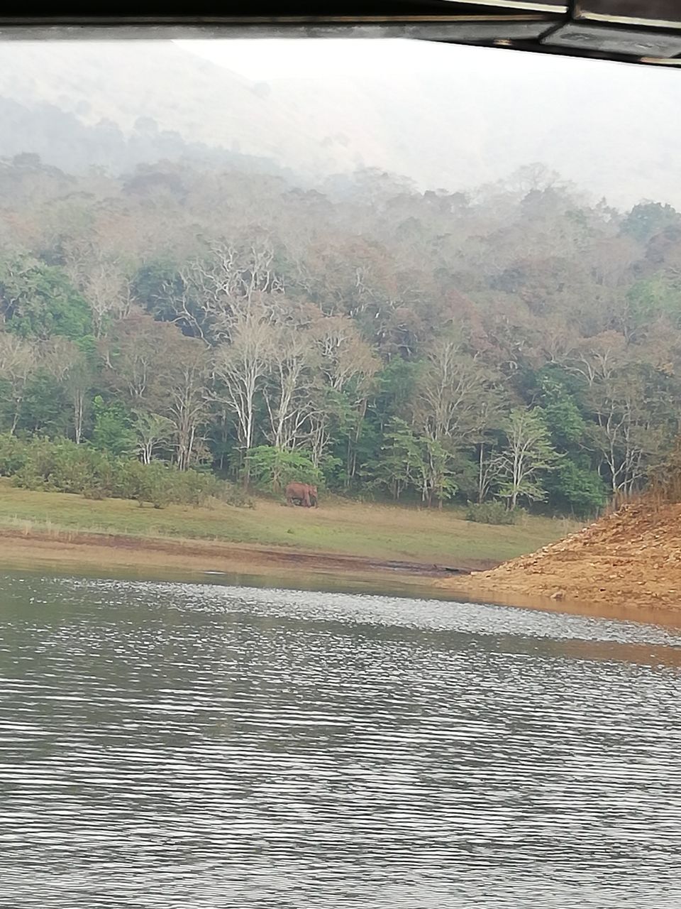 Photo of Exploring Thekkady : The land of spices, misty mountains and wildlife by aswathy tarun