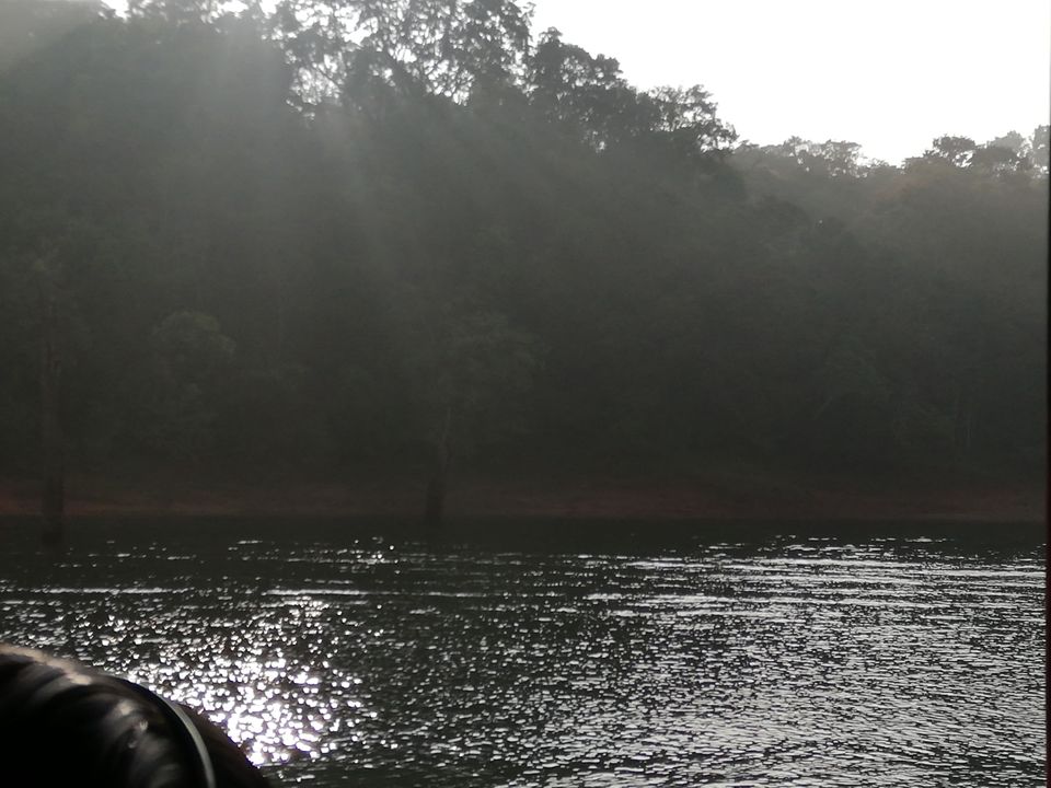 Photo of Exploring Thekkady : The land of spices, misty mountains and wildlife by aswathy tarun