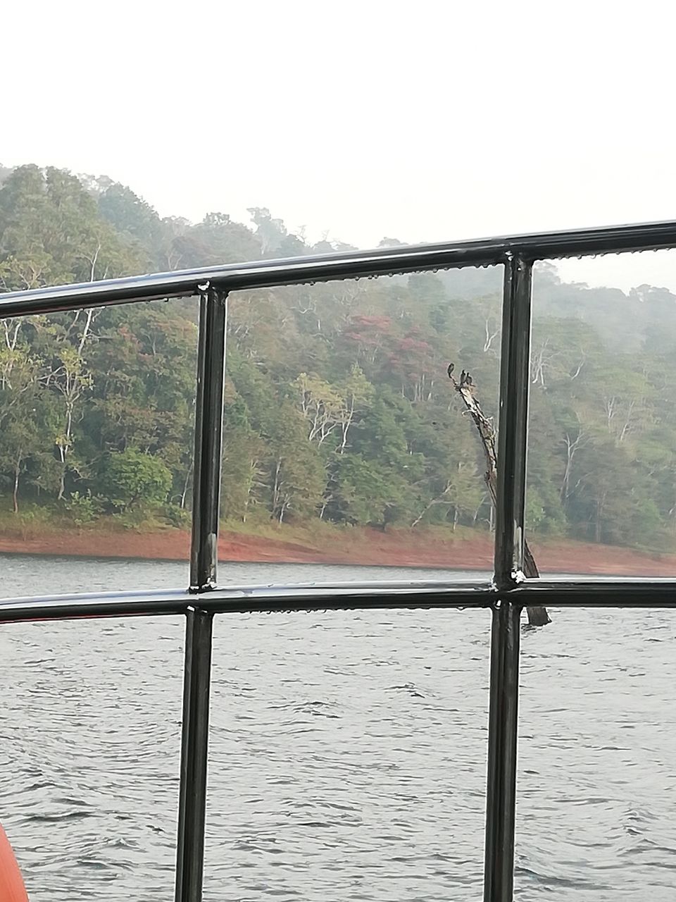 Photo of Exploring Thekkady : The land of spices, misty mountains and wildlife by aswathy tarun