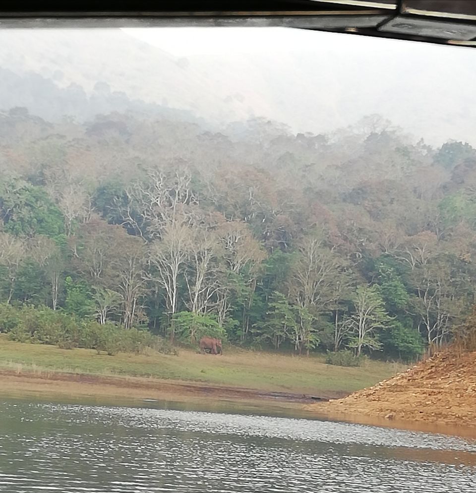 Photo of Exploring Thekkady : The land of spices, misty mountains and wildlife by aswathy tarun