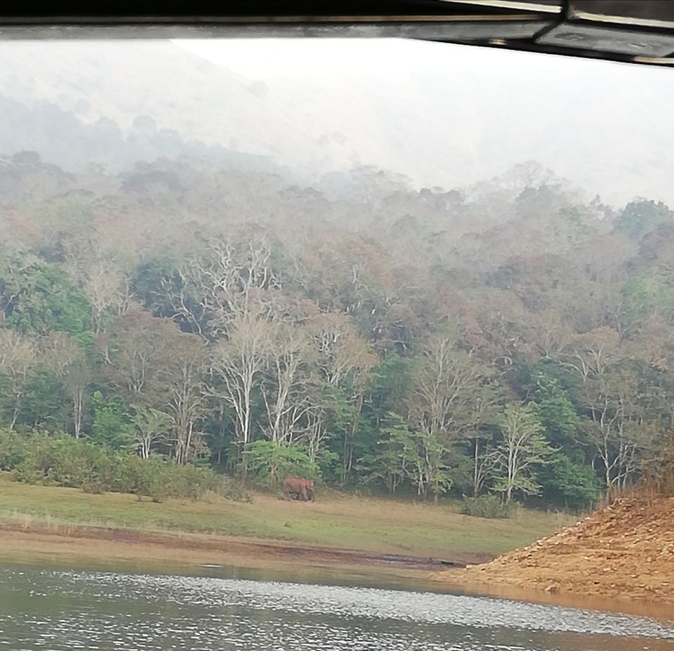 Photo of Exploring Thekkady : The land of spices, misty mountains and wildlife by aswathy tarun