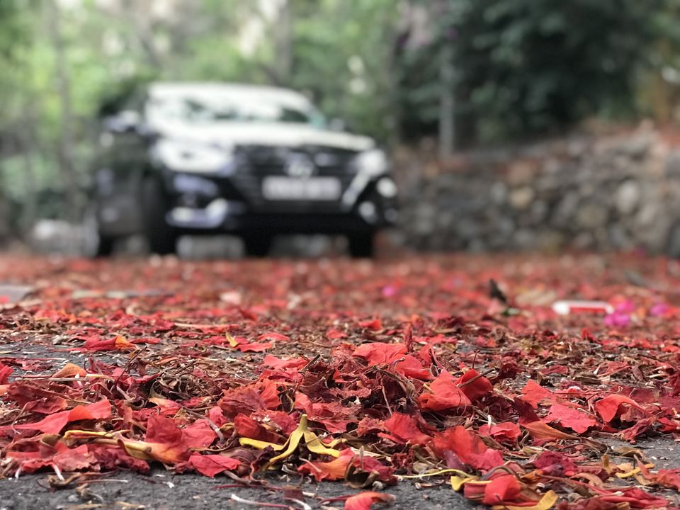 Photo of Weekend in the lap of “Lake Forest”: Yercaud by Monica Maiti