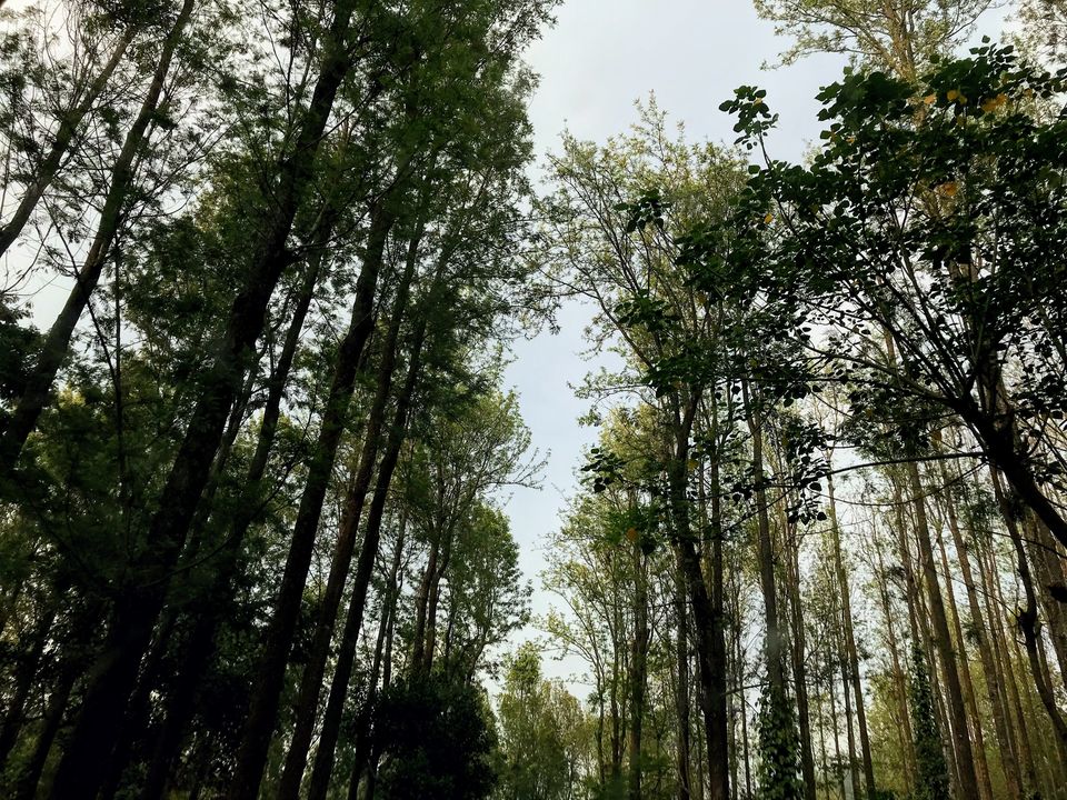 Photo of Weekend in the lap of “Lake Forest”: Yercaud by Monica Maiti