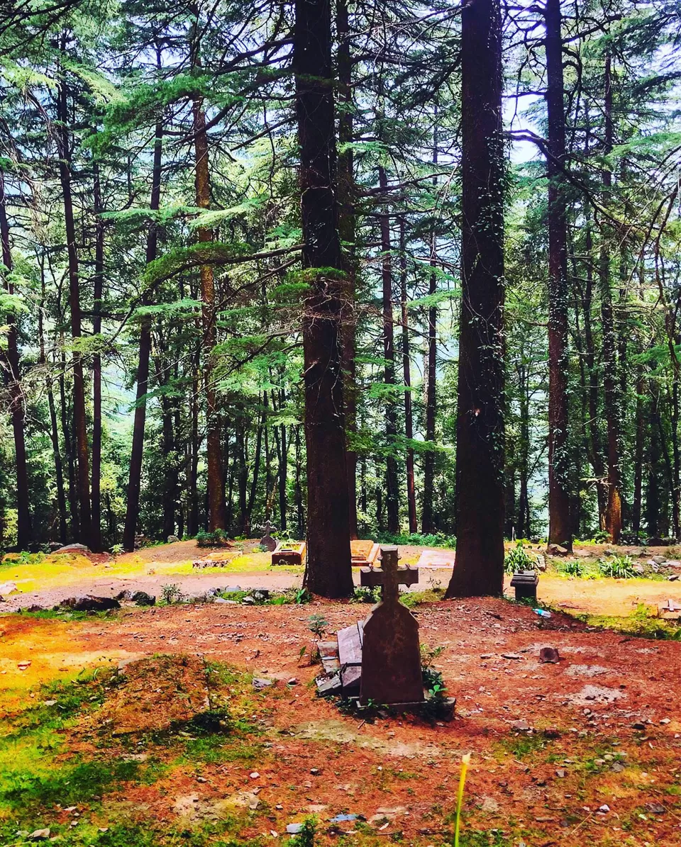 Photo of A Quick Tour To Mcleodganj Through My Eyes by Medhavi Saharan