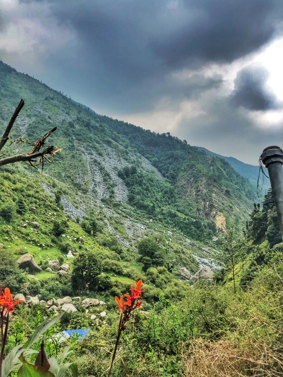 Photo of Dalai Lama Monestry, Jispa, Himachal Pradesh, India by Medhavi Saharan