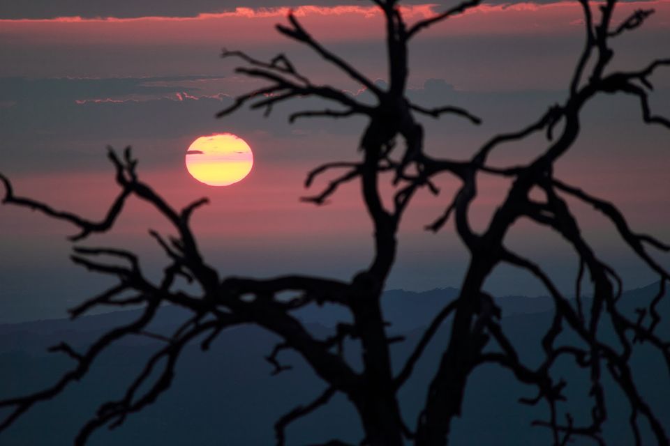 Photo of Divine Himalaya through the lens by Uday Tharar