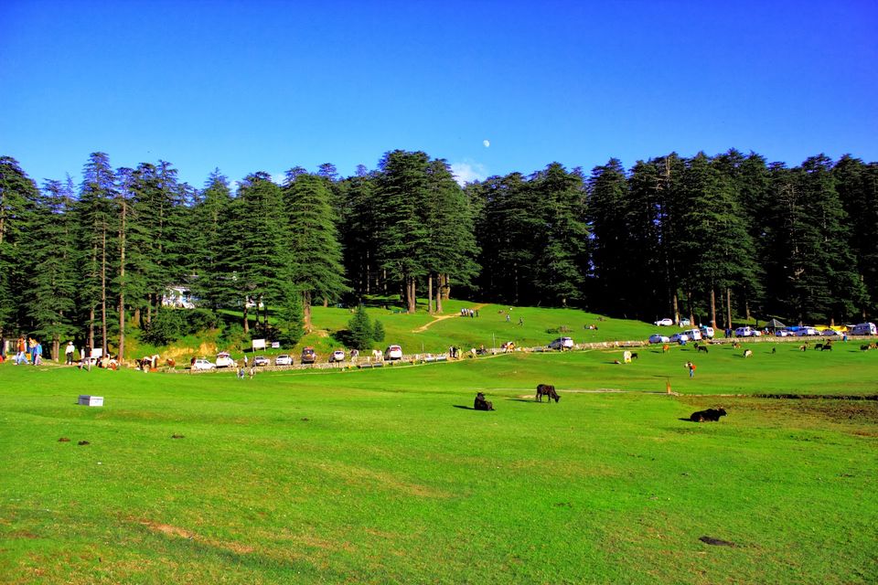 Photo of Divine Himalaya through the lens by Uday Tharar